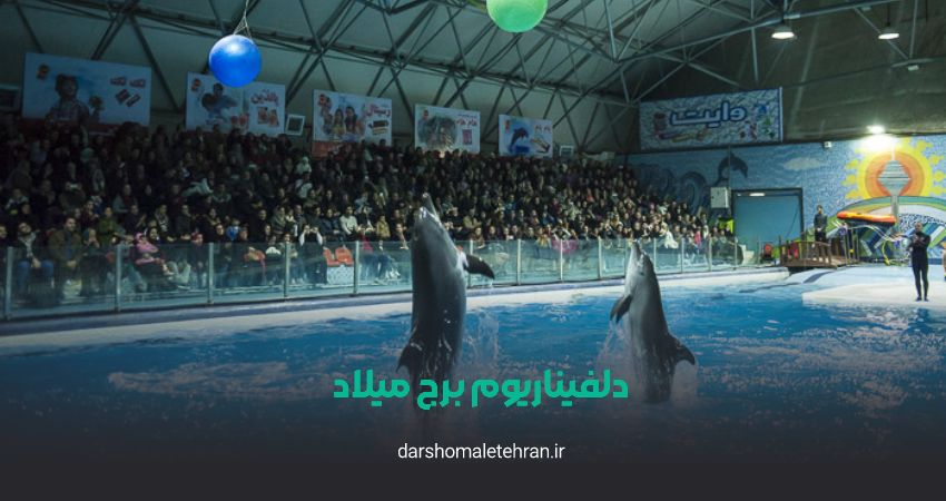 دلفیناریوم برج میلاد