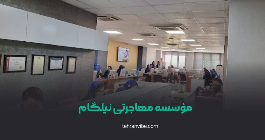 مؤسسه مهاجرتی نیلگام ظفر